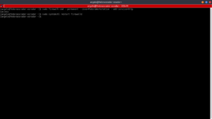 3.- Restarting the Firewall service